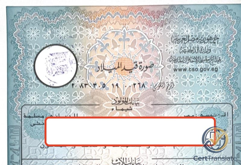 Egyptian Copy of Birth Record (صورة قيد الميلاد) issued by the Civil Status Authority with redacted personal details, showing the prominent 14-digit Egyptian National ID number printed beneath the document title under the label 'الرقم القومي'