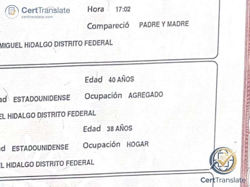 Close-up of a Mexican acta de nacimiento showing the Spanish occupation field labels AGREGADO for the father and HOGAR for the mother, with all personal data cropped out